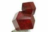 Twinned Maroon Almandine Garnets in Schist - Italy #352087-3